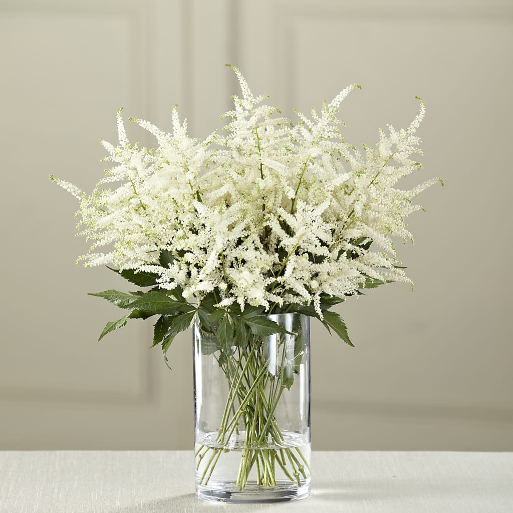 Bouquet d'Astilbe Blanche